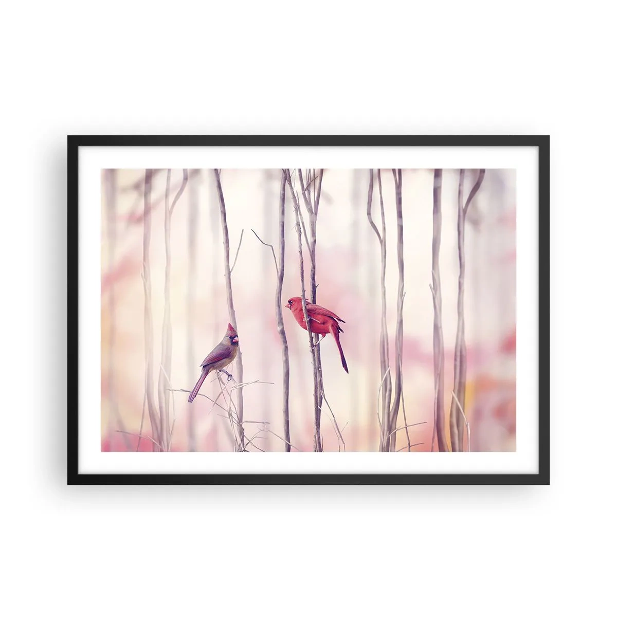 Plakát v černém rámu - Příběh růžového lesa - 70x50 cm