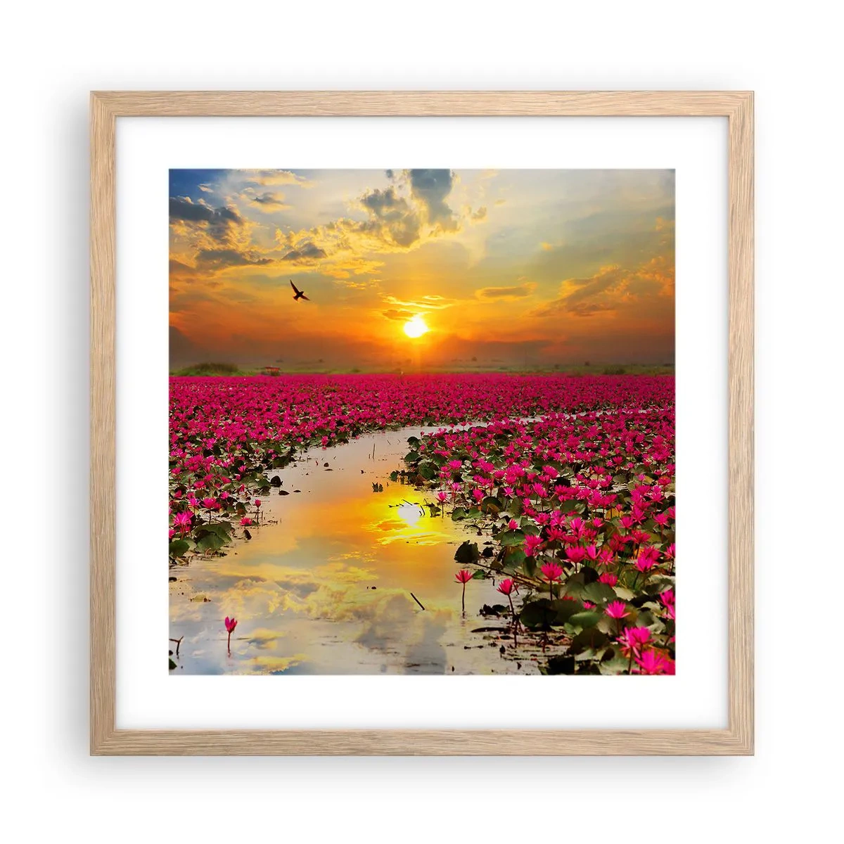 Plakát v rámu světlý dub - Tajemný život jezera - 40x40 cm