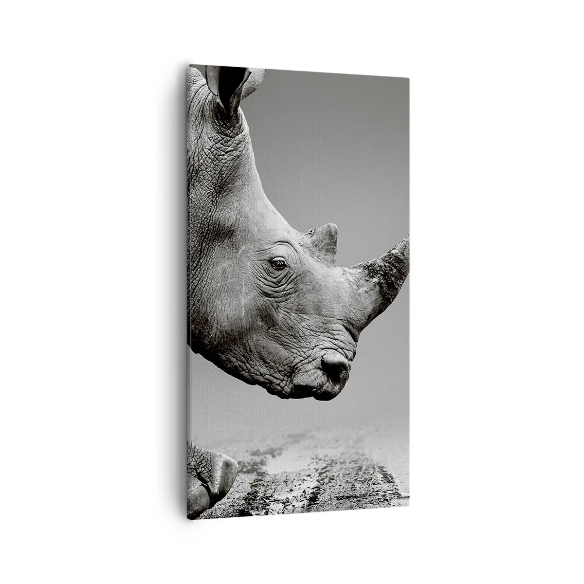 Obraz na plátně - Nezastavitelná síla - 55x100 cm