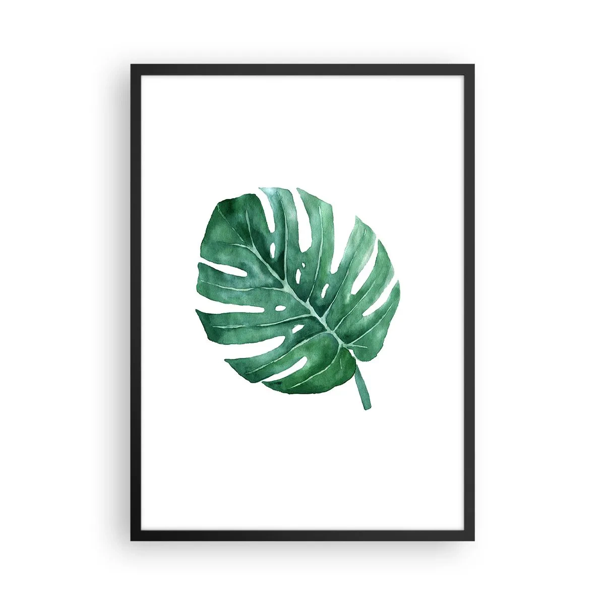 Plakát v černém rámu - Akvarelová ilustrace listu monstery na bílém pozadí - 50x70cm - Zelený koncept - Moderní nástěnná dekorace do obývacího pokoje a ložnice ARTTOR