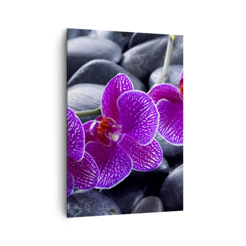 Obraz na plátně - Kameny se rozzářily nadšením - 70x100 cm