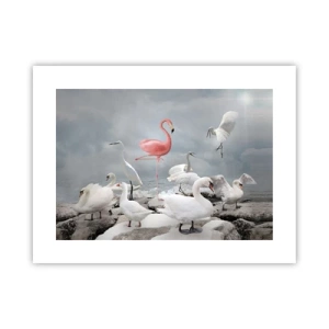 Plakát - Kde jsem se tu vzal? - 40x30 cm