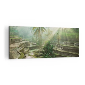 Obraz na plátně - Vyrůstát na slunci - 120x50 cm