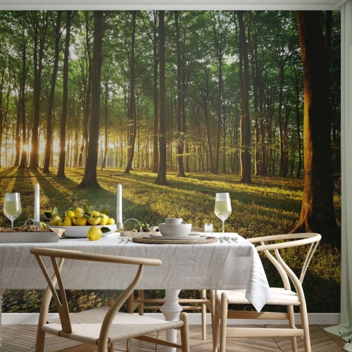 Fototapeta Premium Sand - Fotografie všech jar - Krajina, Les, Příroda - 400x280 cm