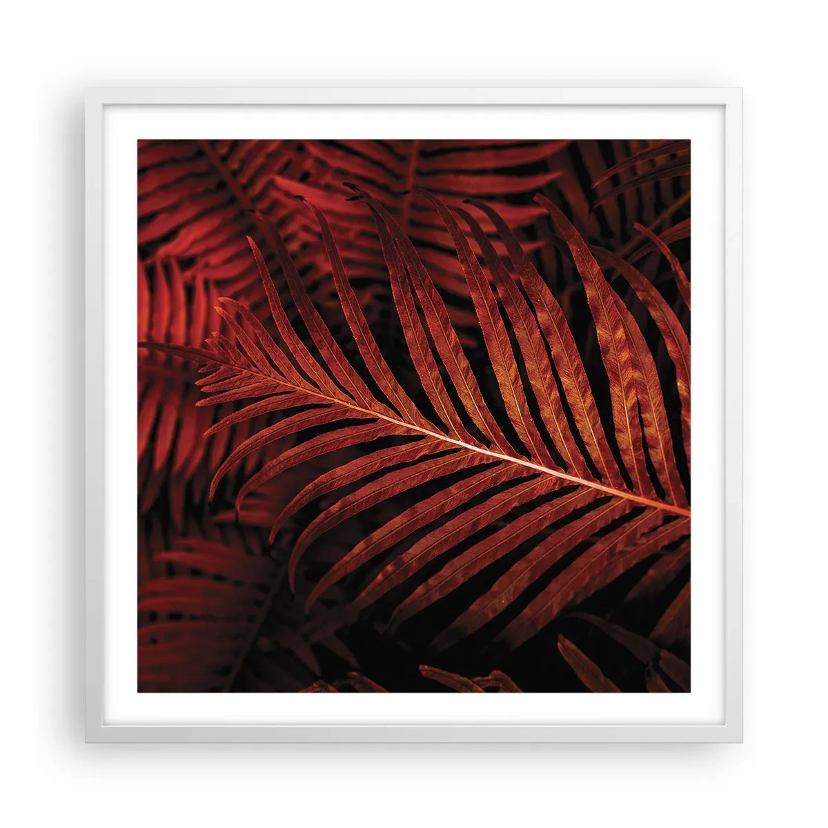 Plakát v bílém rámu - Žár života - 60x60 cm