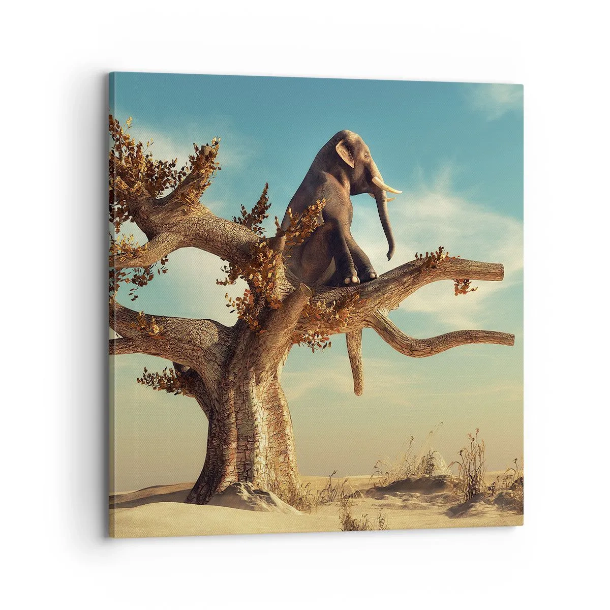 Obraz na plátně - Nový úhel pohledu - 70x70 cm