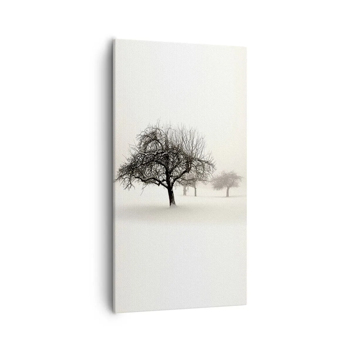Obraz na plátně - Zimní sen - 55x100 cm