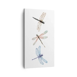 Obraz na plátně - Beztížné vážky - 45x80 cm