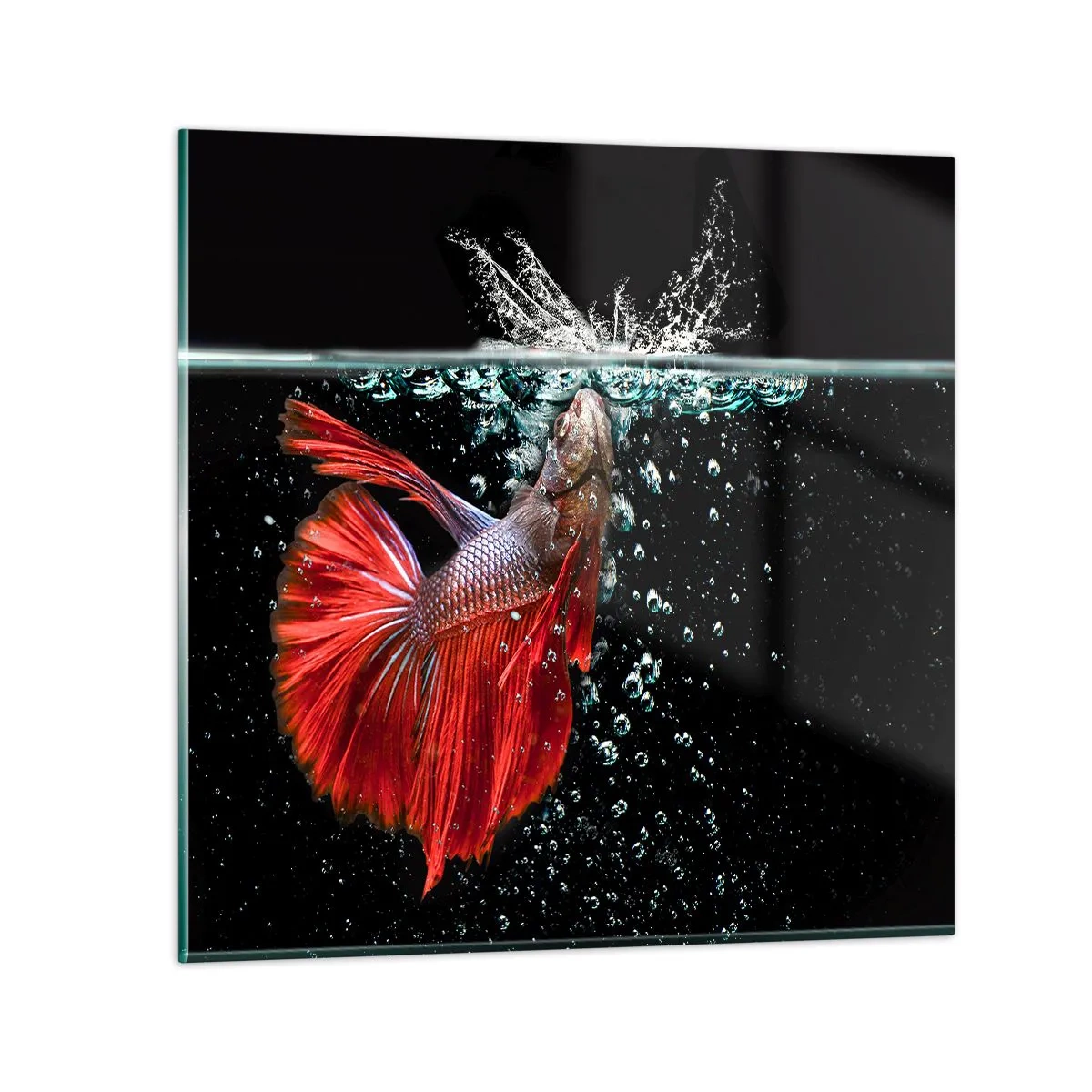 Obraz na skle - Máš tři přání - 40x40 cm