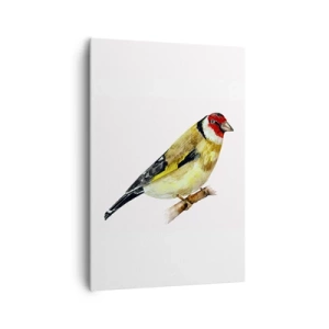 Obraz na plátně - Ptáčí portrét - 70x100 cm