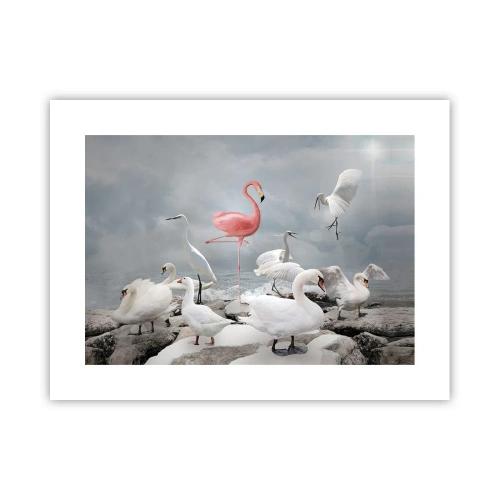 Plakát - Kde jsem se tu vzal? - 40x30 cm