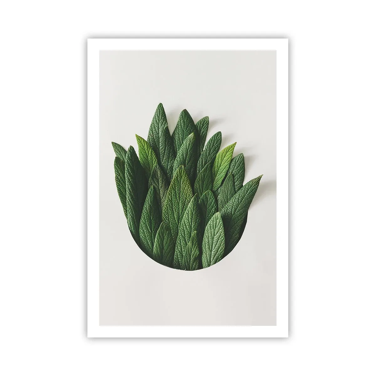 Plakát - Neukojitelná zvědavost - 61x91 cm