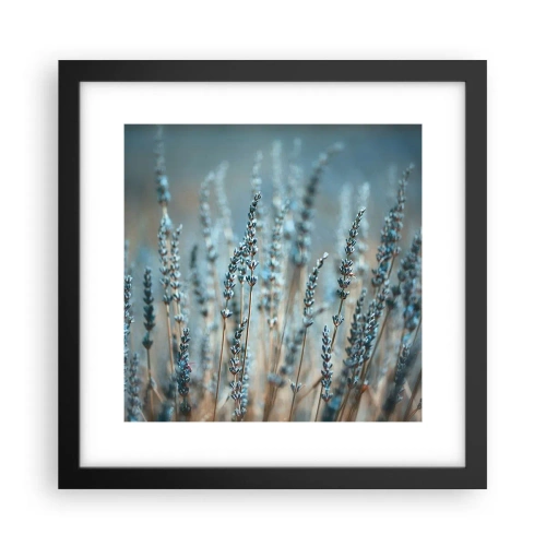 Plakát v černém rámu - Voňavý lán - 30x30 cm