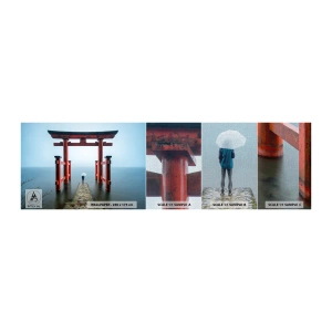 Vzor Fototapety Premium Canvas - Japonské zamyšlení - Asie, Chrám Hakone, Japonsko - 100x30 cm