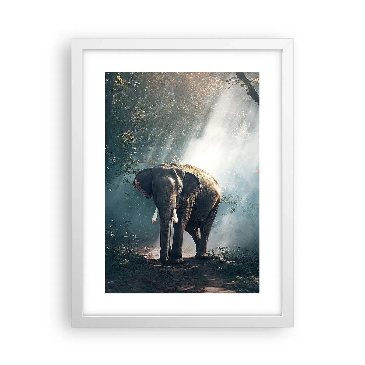 Plakát v bílém rámu - Klidná procházka - 30x40 cm