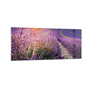 Obraz na skle - Voňavý lán - 100x40 cm