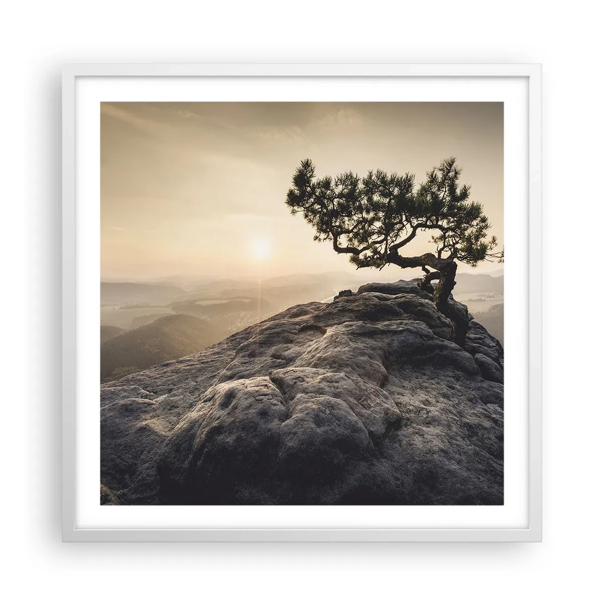 Plakát v bílém rámu - Život vždy vítězí - 60x60 cm