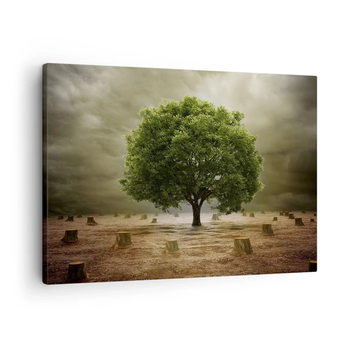 Obraz na plátně - Zelený strom obklopený pokácenými kmeny stromů proti zatažené obloze - 70x50cm - Celá naděje - Moderní nástěnná dekorace do obývacího pokoje a ložnice ARTTOR