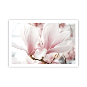 Plakát - Nesmírnost něžnosti - 91x61 cm