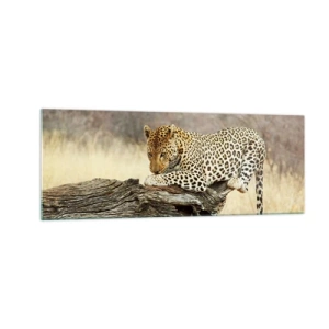 Obraz na skle - Chodím vlastními cestami - 140x50 cm