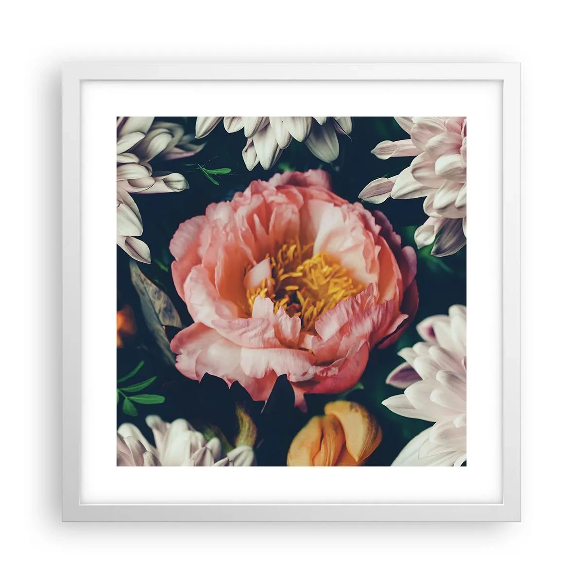 Plakát v bílém rámu - S barokním přepychem - 40x40 cm