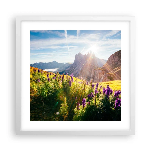 Plakát v bílém rámu - Tajemný život bylin - 40x40 cm