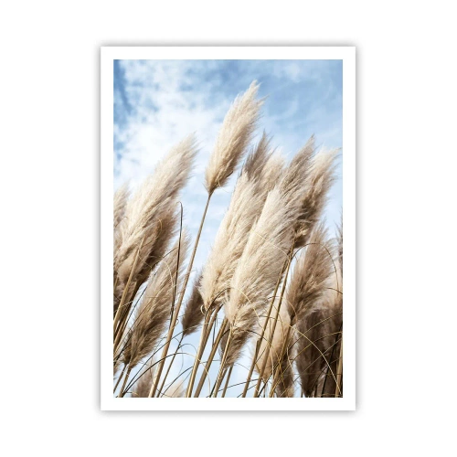 Plakát - Slunečné a větrné pohlazení - 70x100 cm