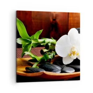 Obraz na plátně - Oddejte se doteku přírody - 50x50 cm