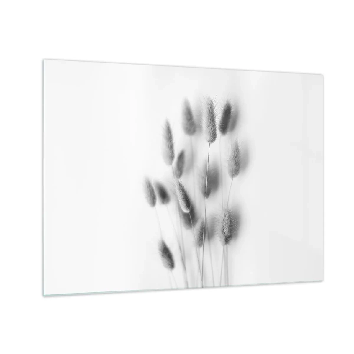 Obraz na skle - Černobílé travní klasy na světlém pozadí v minimalistickém stylu - 70x50cm - Její načechranost tráva - Moderní nástěnná dekorace do obývacího pokoje a ložnice ARTTOR