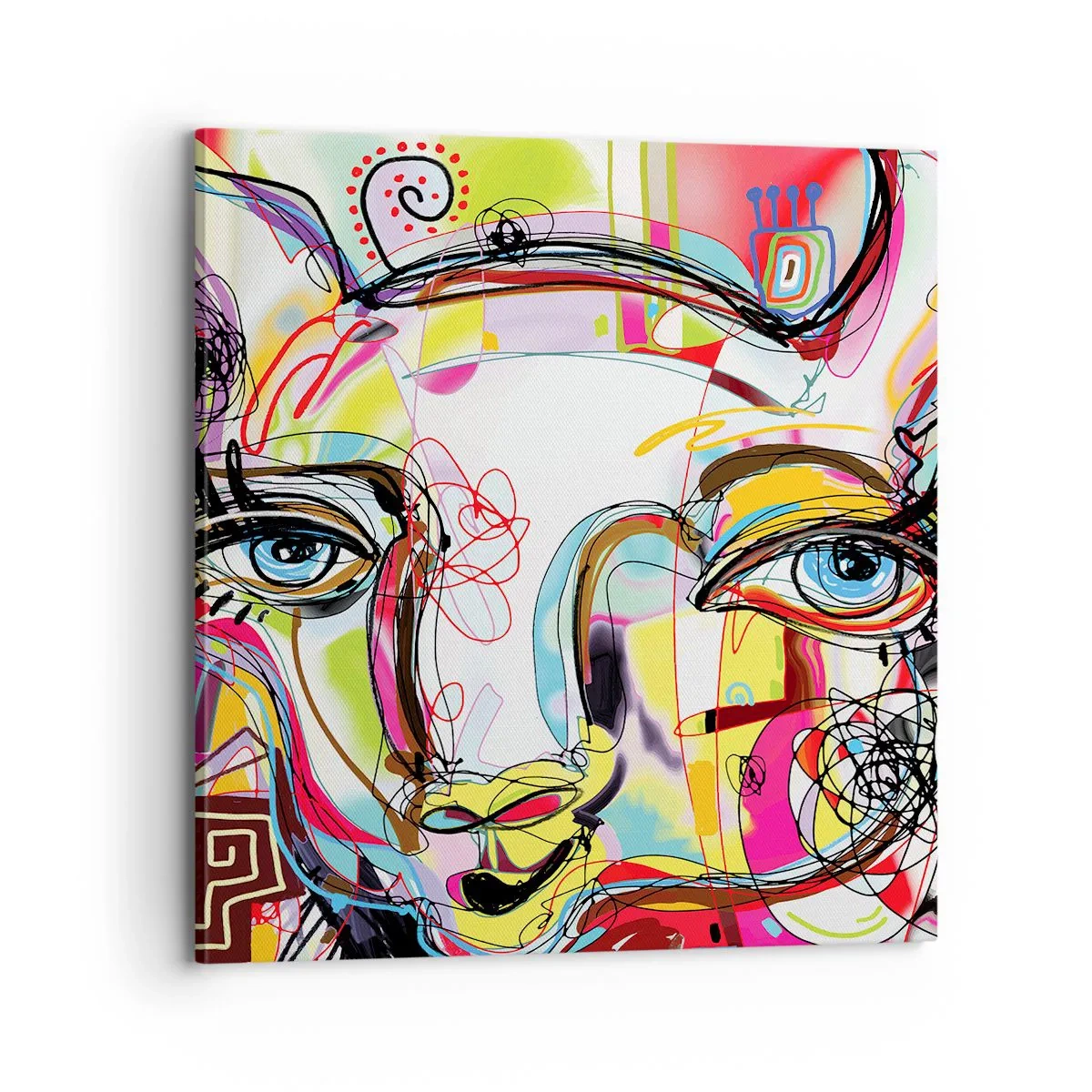 Obraz na plátně - Bohatství kočičí krásy - 70x70 cm