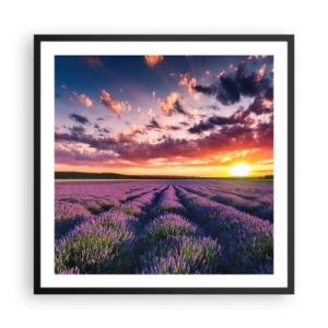 Plakát v černém rámu - Levandulový svět - 60x60 cm