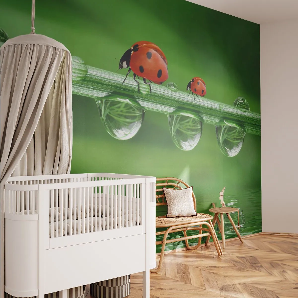 Fototapeta Samolepicí Deluxe Sticker - Na cestách celé léto - Slunéčko sedmitečné, Kapka vody, Příroda - 250x175 cm