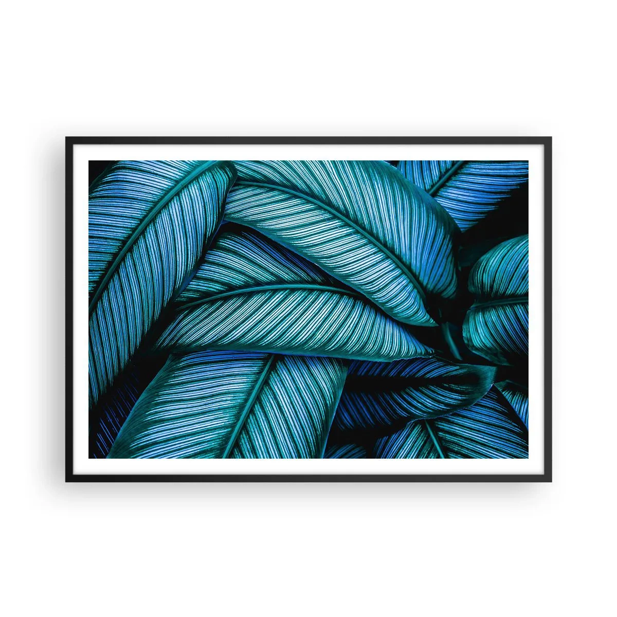 Plakát v černém rámu - Čáry života - 100x70 cm