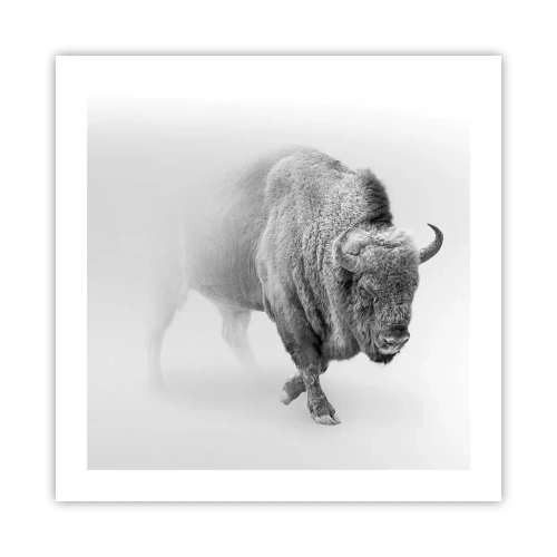 Plakát - Král prérie - 50x50 cm