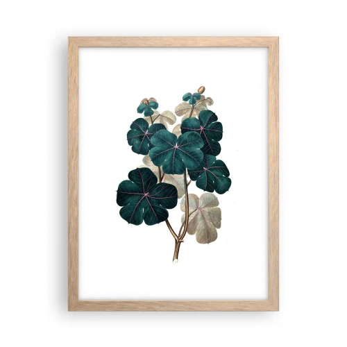 Plakát v rámu světlý dub - Ze starého herbáře - 30x40 cm