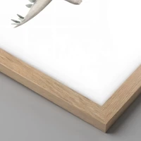 Světlý dub