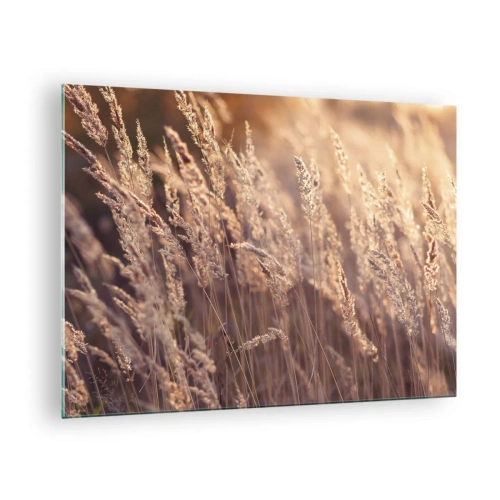Obraz na skle - Zlaté trávy ozářené paprsky zapadajícího slunce - 70x50cm - Připraveni přivítat podzim - Moderní nástěnná dekorace do obývacího pokoje a ložnice ARTTOR