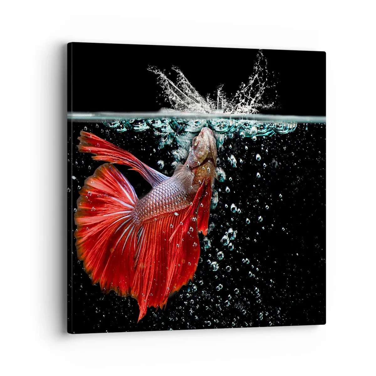 Obraz na plátně - Máš tři přání - 40x40 cm