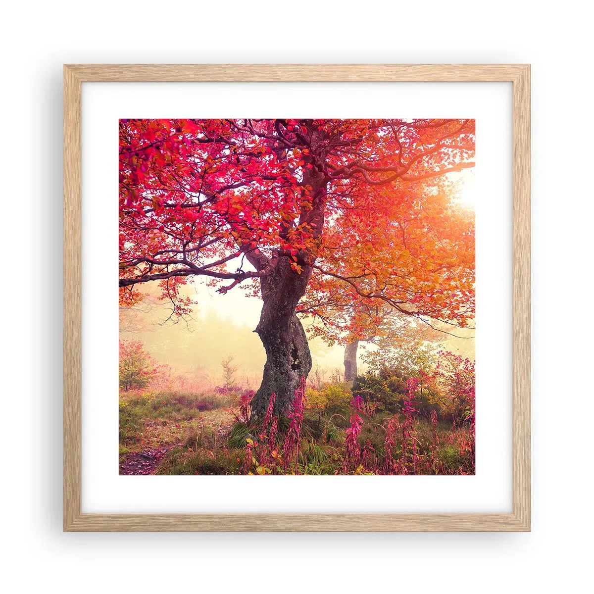Plakát v rámu světlý dub - Šílenství rozkvětu - 40x40 cm