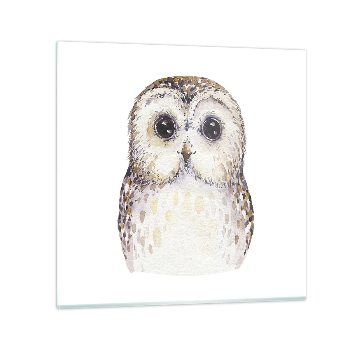 Obraz na skle - Podívej se mi do očí - 40x40 cm