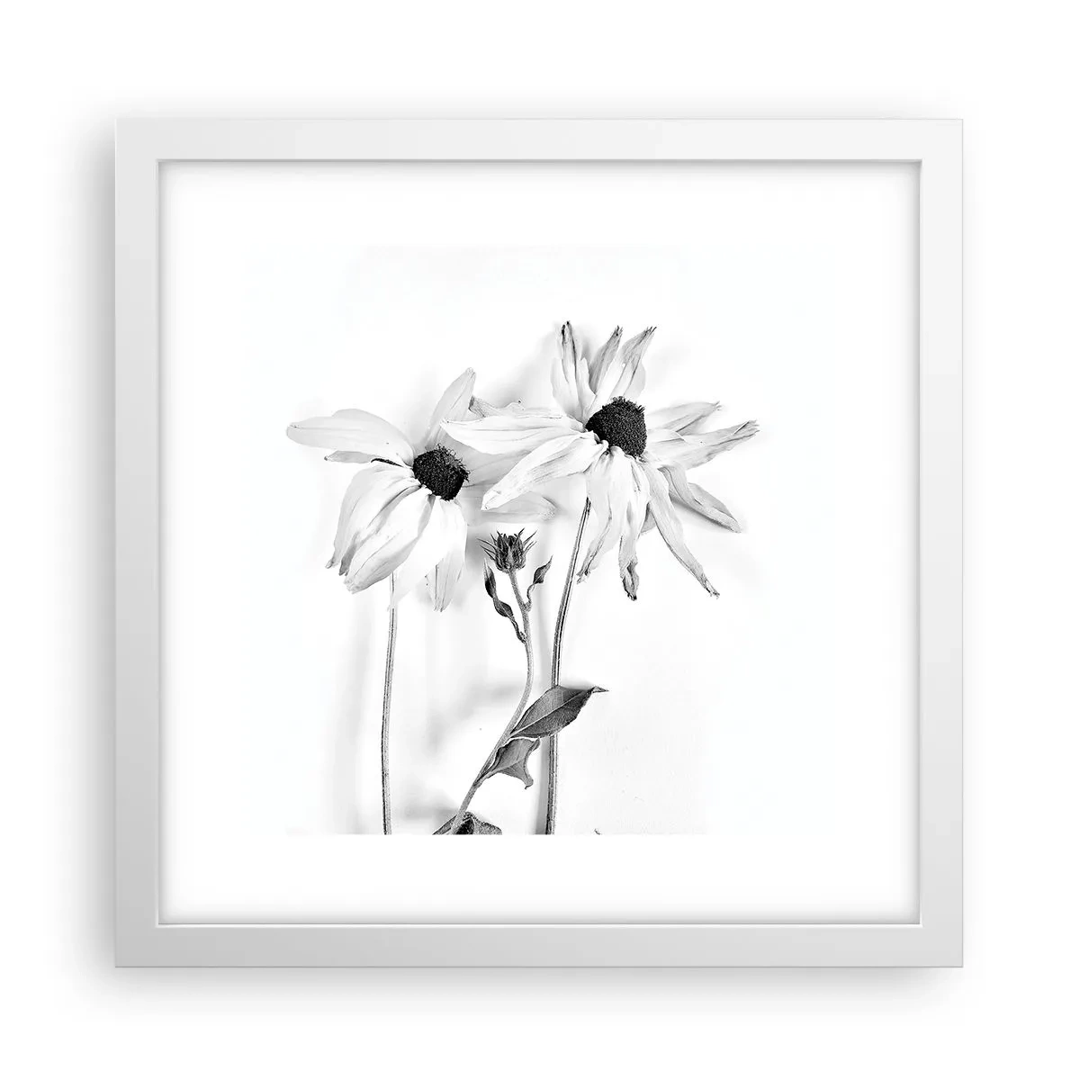 Plakát v bílém rámu - Nikdo nechce být sám - 30x30 cm