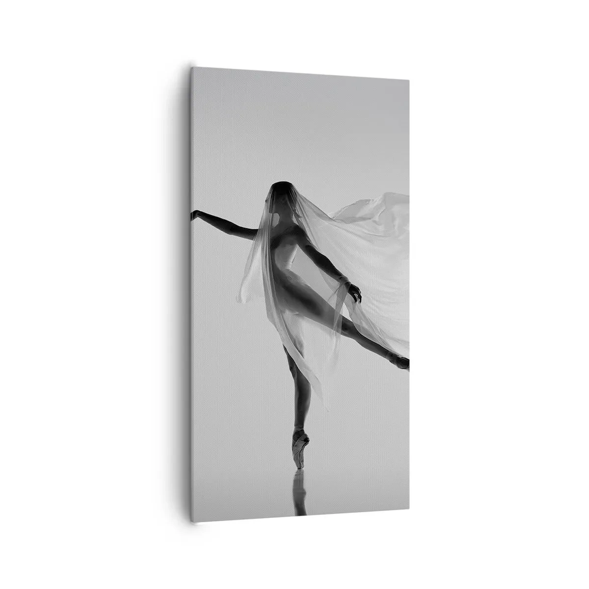 Obraz na plátně - Lehkost a půvab - 65x120 cm