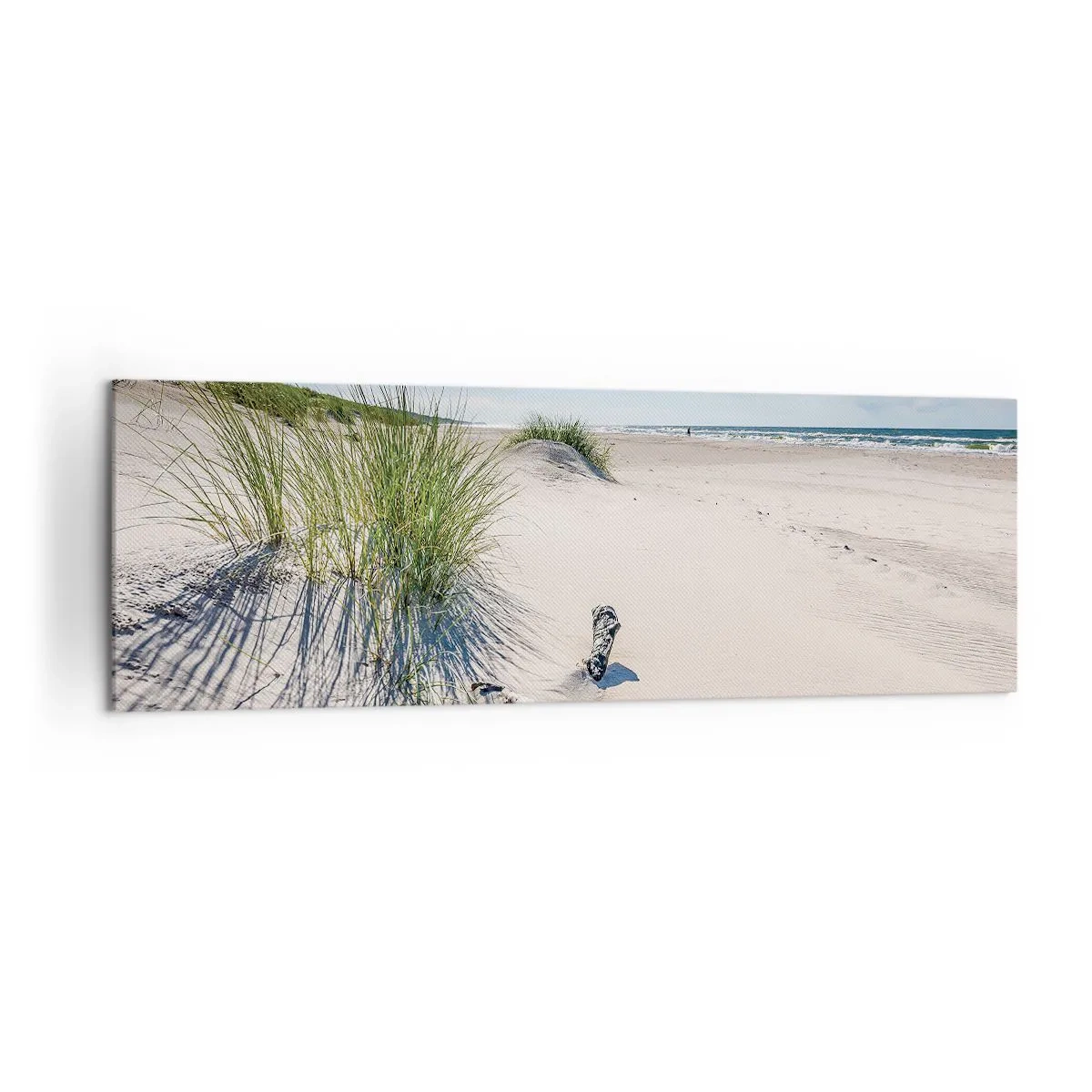 Obraz na plátně - Nejkrásnější? Baltská - 160x50 cm