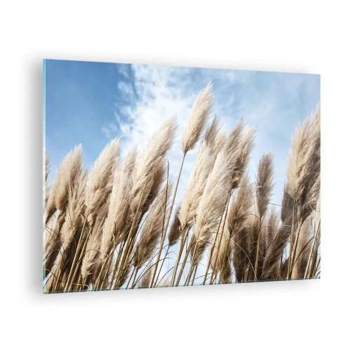 Obraz na skle - Dekorativní pampové trávy proti modré obloze - 70x50cm - Slunečné a větrné pohlazení - Moderní nástěnná dekorace do obývacího pokoje a ložnice ARTTOR