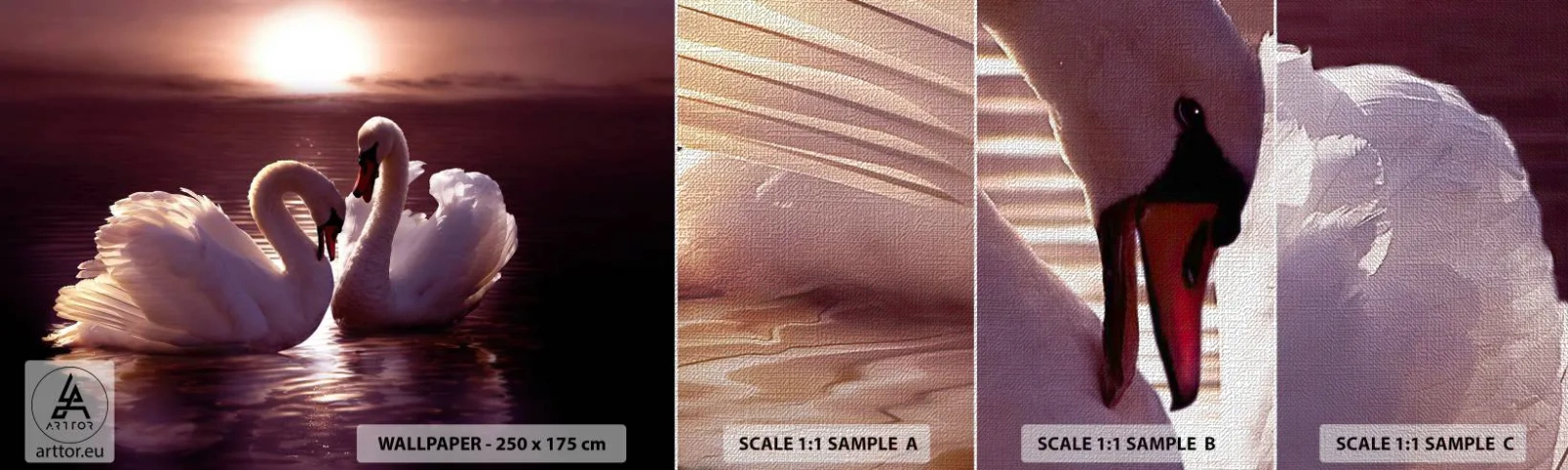 Vzor Fototapety Premium Canvas - Dokud nás smrt nerozdělí - Zvířata, Krajina, labutě - 100x30 cm