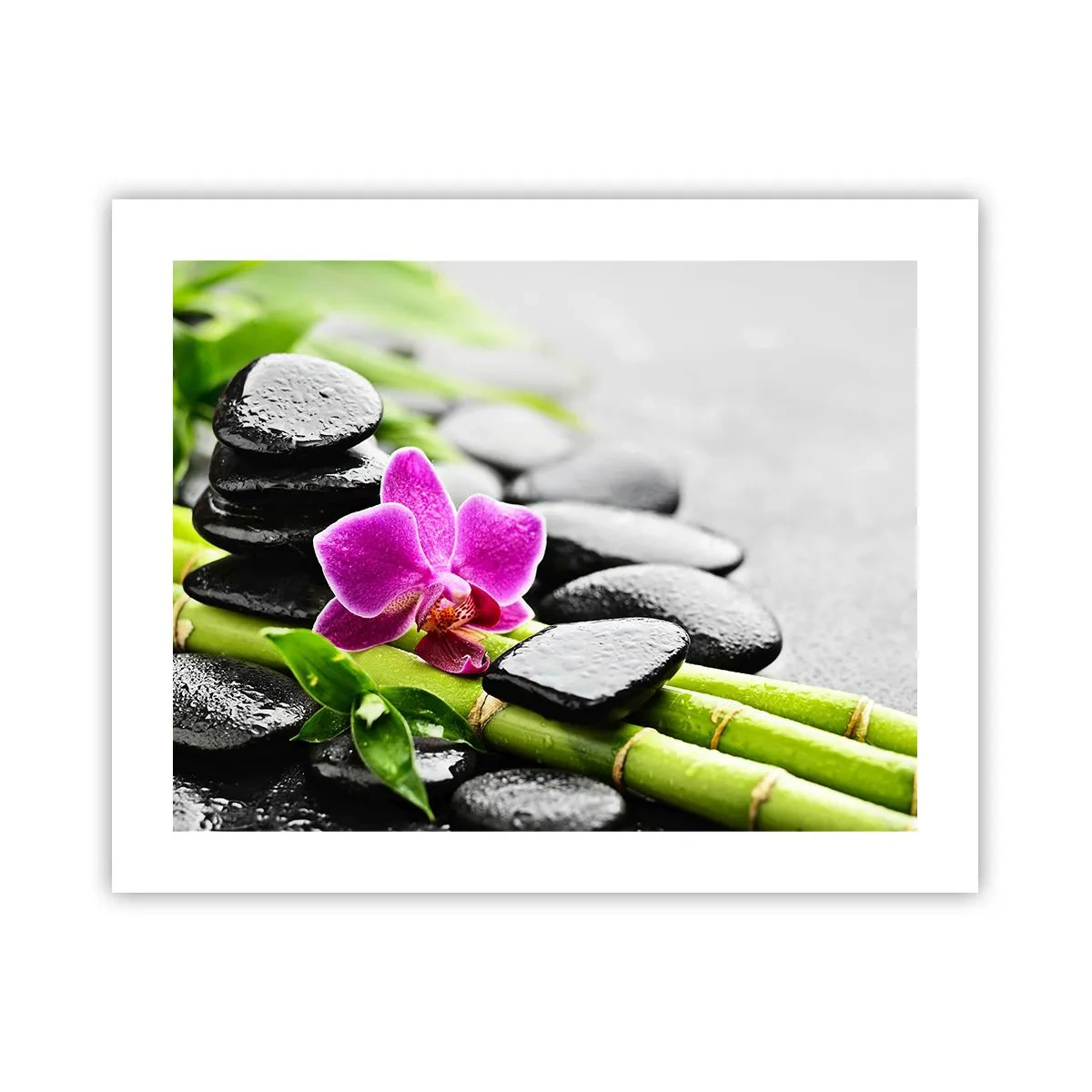 Plakát - V klidné rovnováze - 50x40 cm