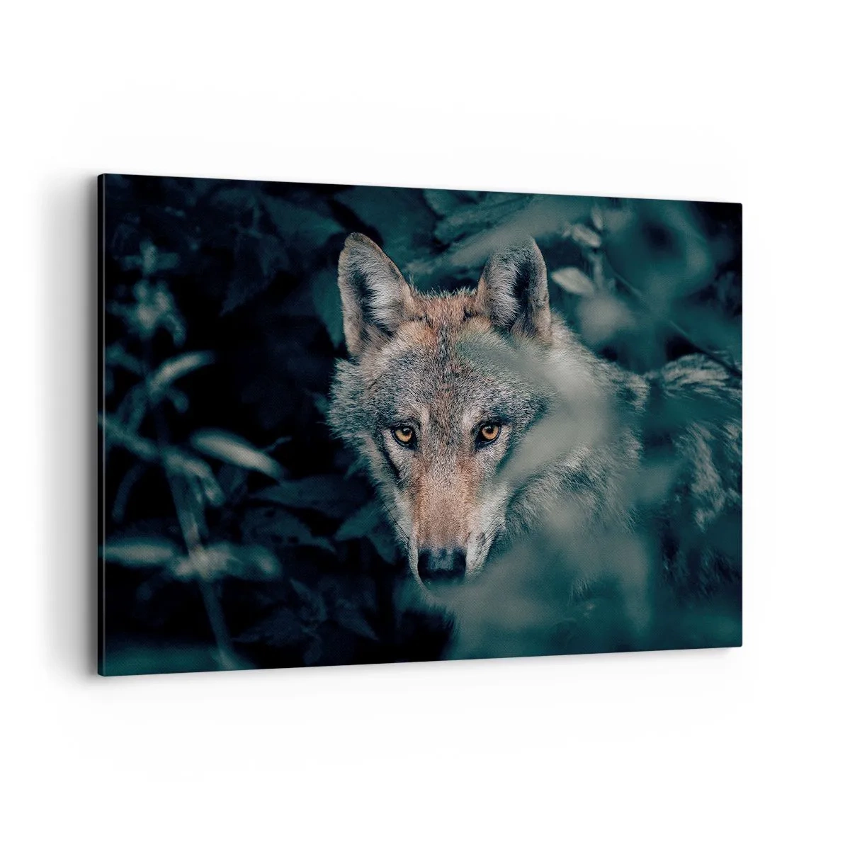 Obraz na plátně - Predátor - 120x80 cm