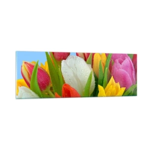 Obraz na skle - Květinová duha v kapkách rosy - 90x30 cm