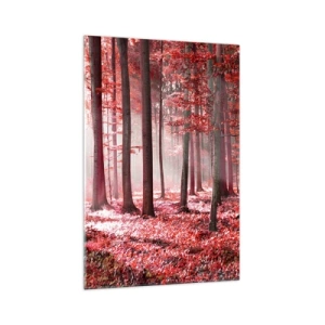 Obraz na skle - Červená je stejně krásná - 70x100 cm