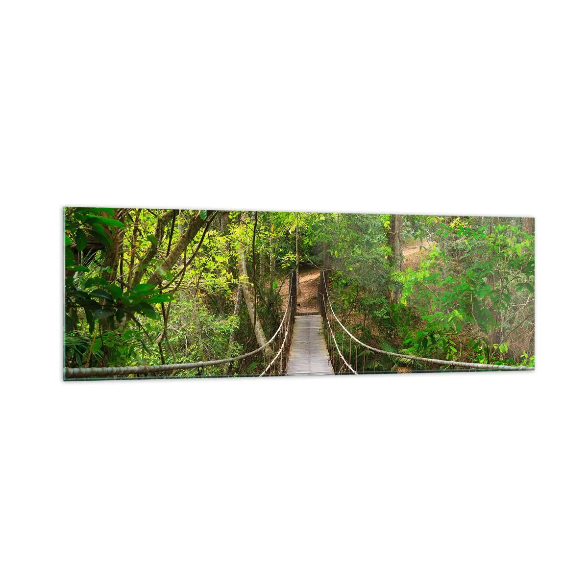 Obraz na skle - Protože na zahradě rostou popínavé rostliny - 160x50 cm